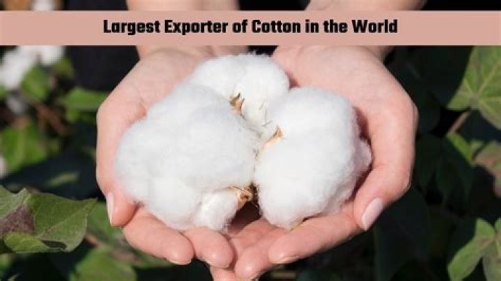 Who is the largest producer and exporter of cotton?