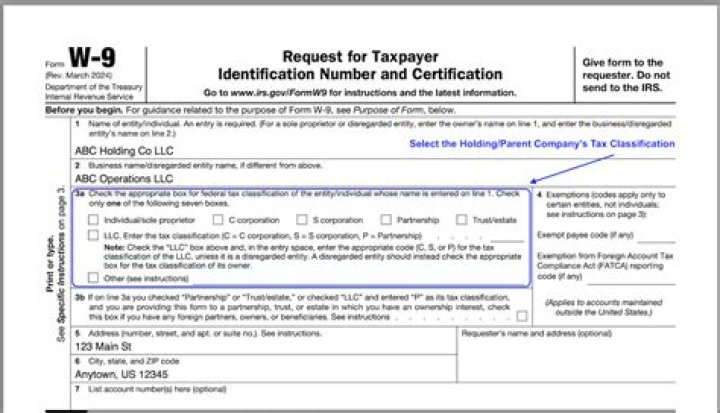 Who is the owner of a business LLC?