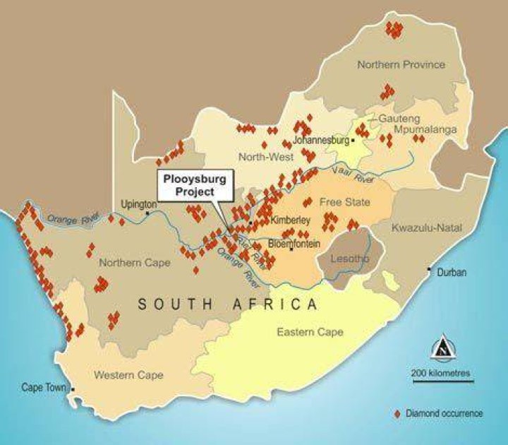 Who owns the diamond mines in South Africa?