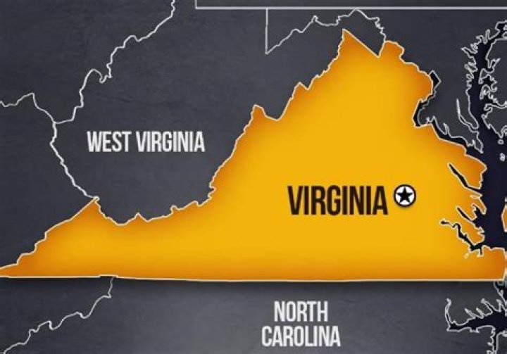 Who owns the life insurance Company of Virginia?