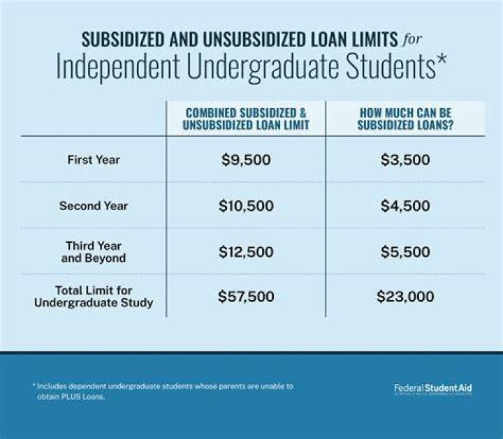 Who pays for unsubsidized student loans?