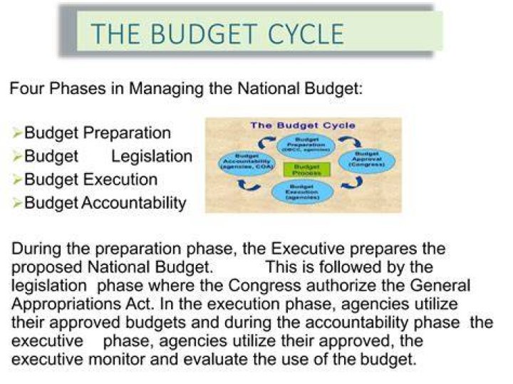 Who prepares the budget of an organization?