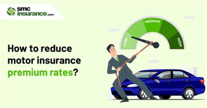 Who sets insurance premium rates?