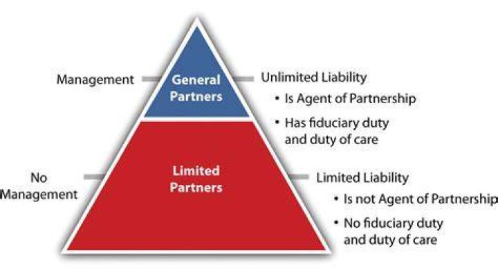 Who uses a limited liability partnership?