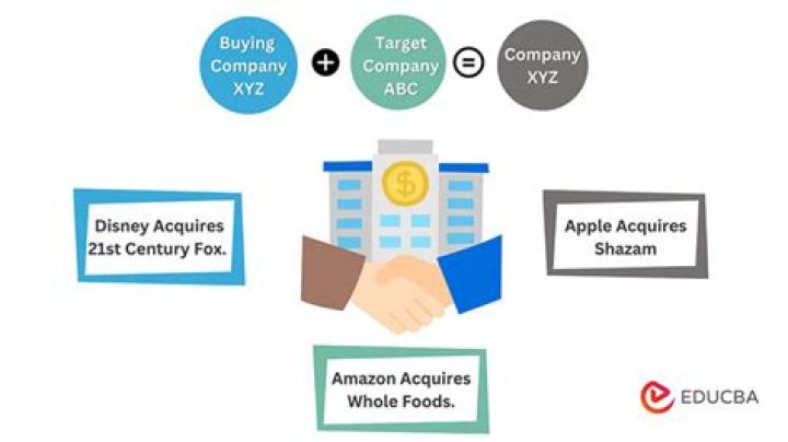 Why a company acquires a subsidiary?
