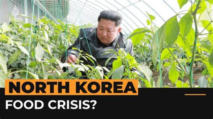 Why are there food shortages in North Korea?
