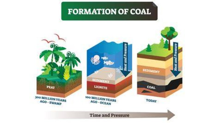 Why did coal production increase?