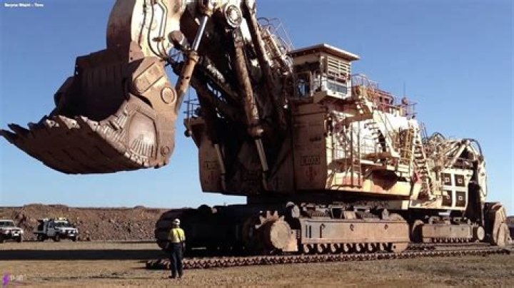 Why did diggers have to have a license?
