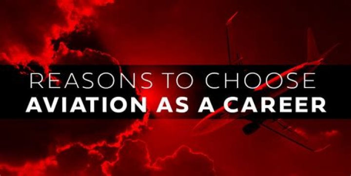 Why did you choose aviation as a career?