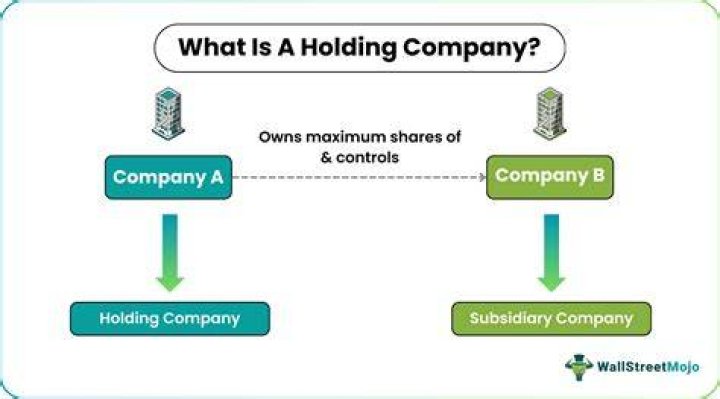 Why do companies hold cash and marketable securities?