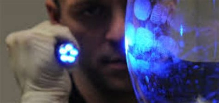 Why do they always use flashlights on CSI?