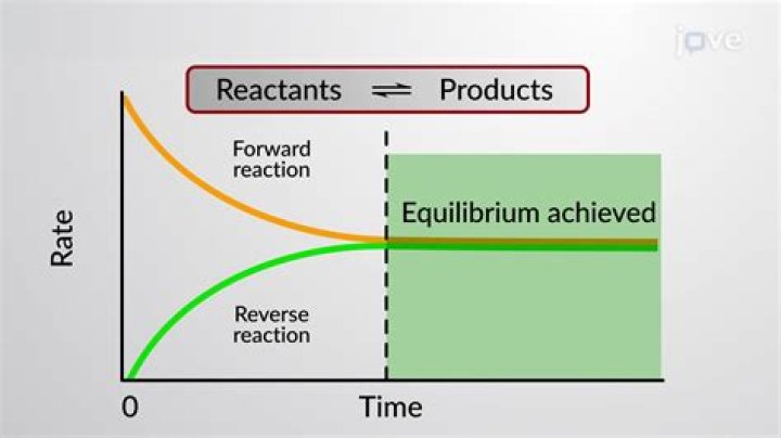 Why do we need equilibrium?