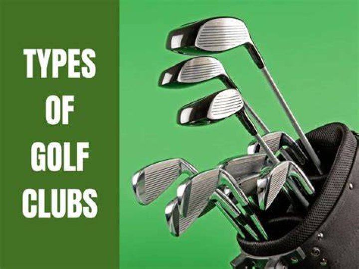 Why does a professional golfer usually own many types of clubs quizlet?