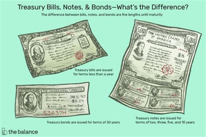 Why does the government sell Treasury bonds and notes?