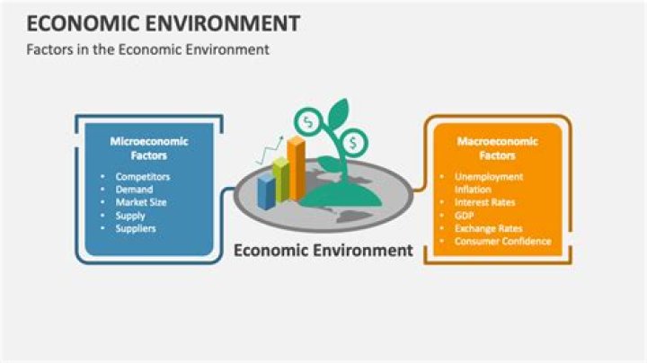 Why economic environment is important for business?