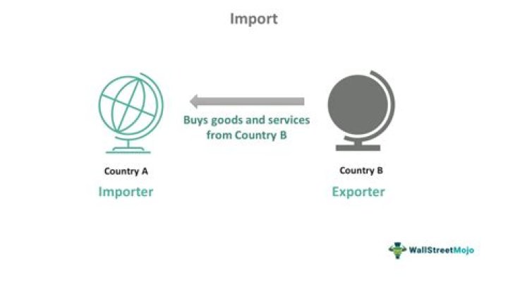 Why import is important for a country?
