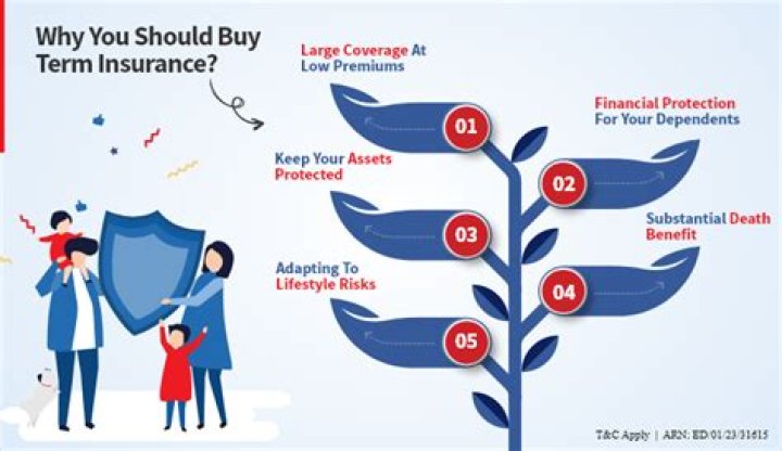 Why insurance is important in trade?
