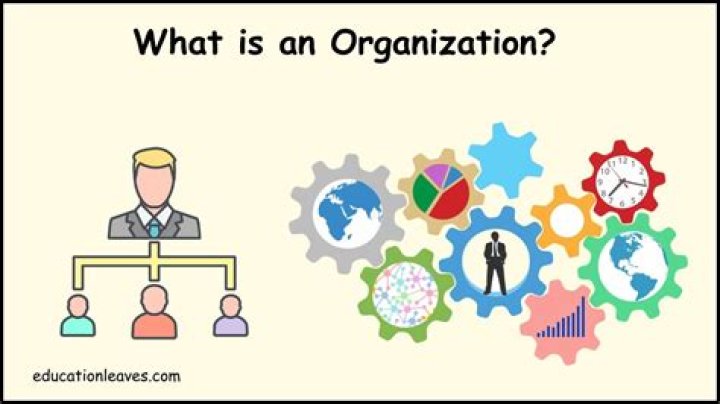 Why is an organization formed?