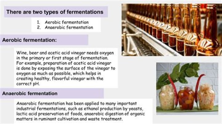 Why is anaerobic important in making beer?