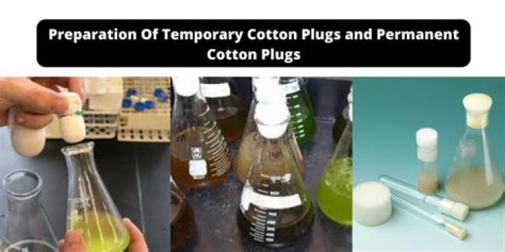 Why is cotton used in making plugs for test tubes?