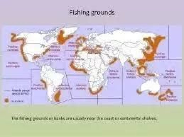 Why is Grand Banks a major fishing ground?
