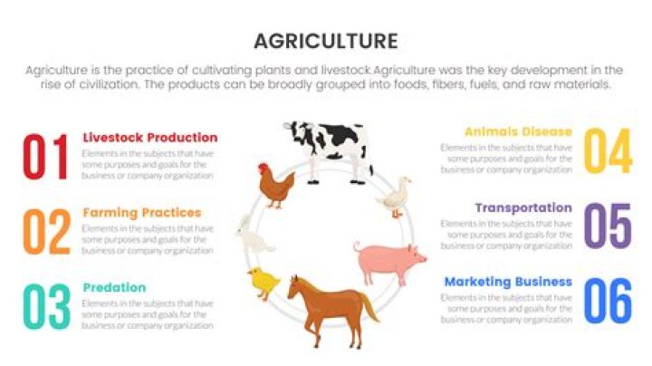 Why is it important to grow crops and raise animals?