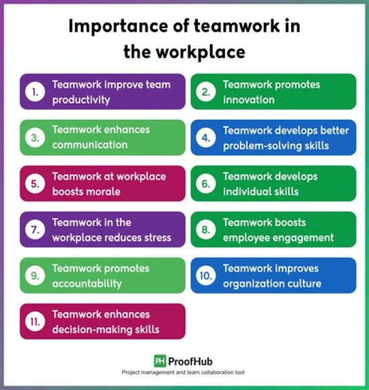 Why is it important to work as a member of a team?