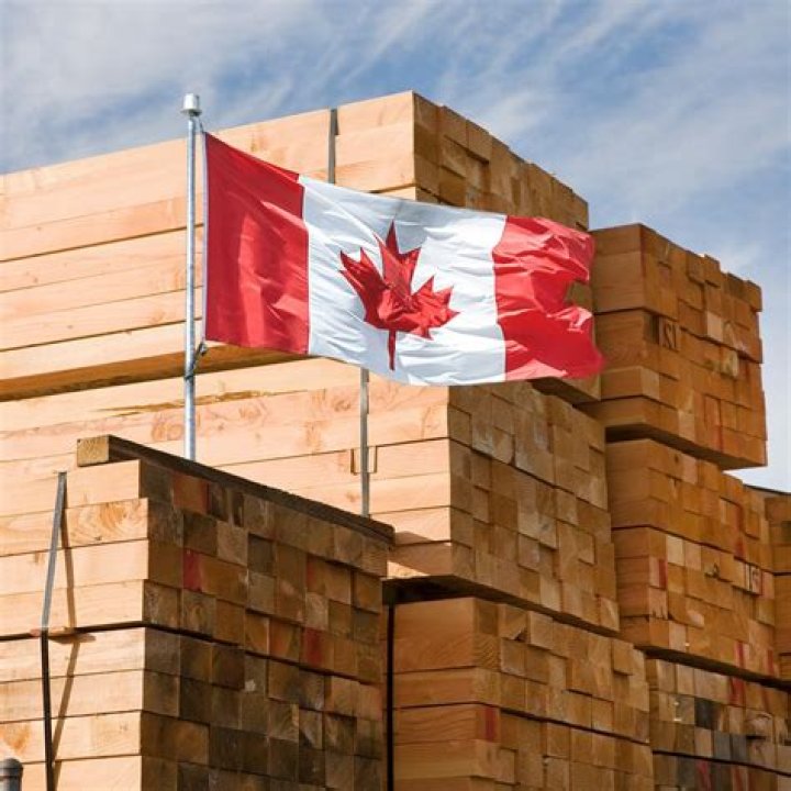 Why is lumbering important Canada?
