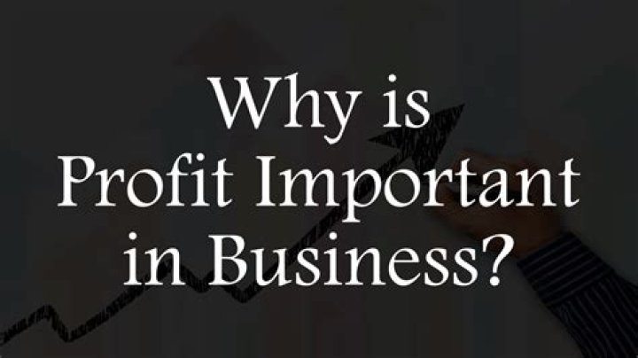 Why is profit needed in business?