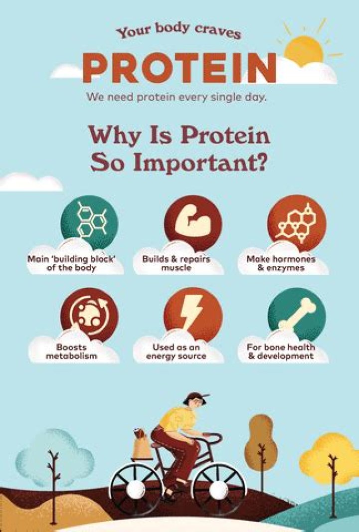 Why is protein so important?