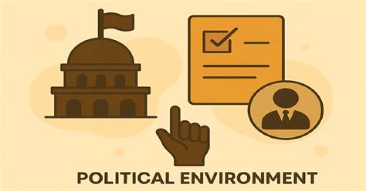Why is the political environment important to business?