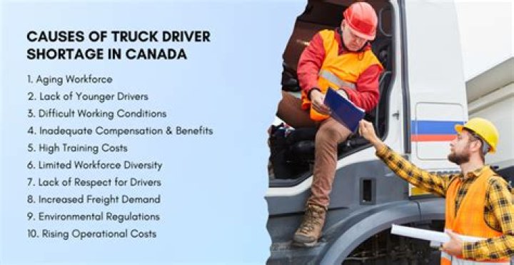 Why is there a shortage of professional truck drivers?