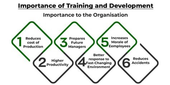Why is training and development important in organizations?