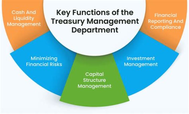 Why is treasury management important?