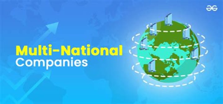 Why the agency costs is high in multinational companies?