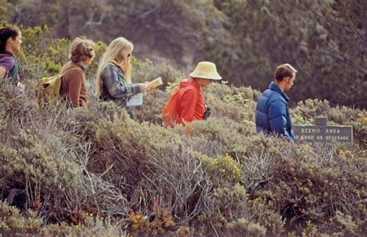 Why was the Sierra Club formed?