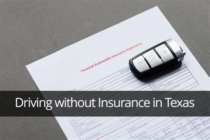 Will I lose my Licence for driving without insurance?